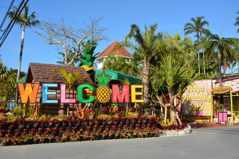 DSC_3933（トップページ）参照httpswww.nagopine.commovie-photo