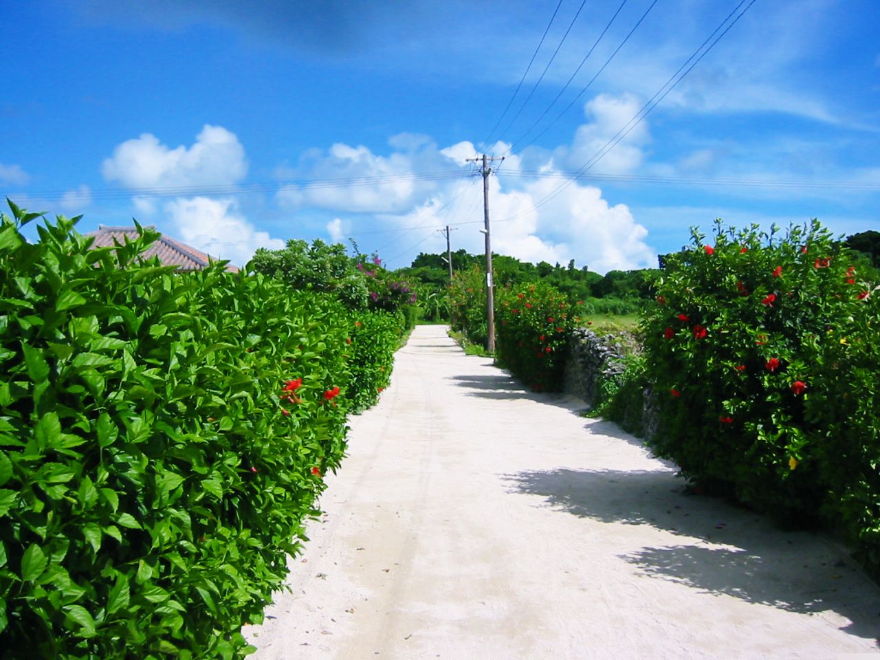 沖縄移住を進めるために必要なこと：ステップ③